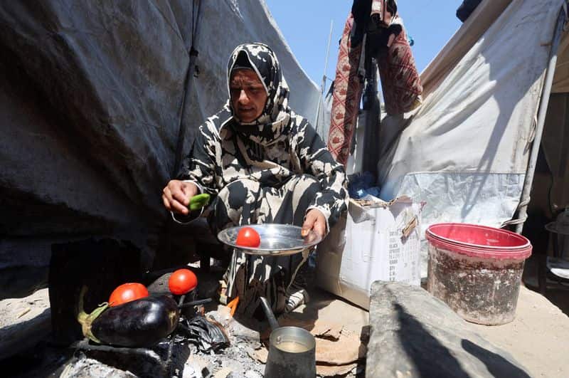 Gaza faces acute hunger risk as aid cuts loom, monitor warns