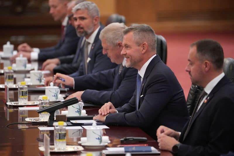 China seeks Slovakia's help in EU relations, state media says