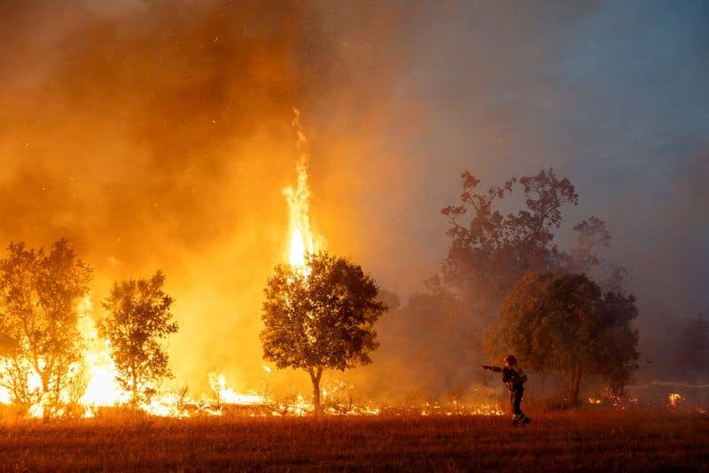 EU wildfires break records amid extreme fire weather