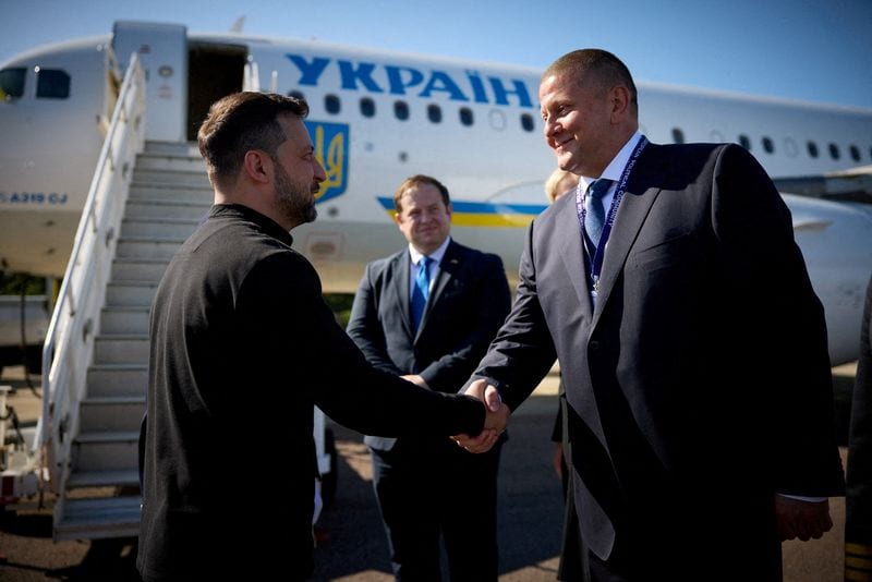 Ukraine's former top commander sees no prospect of NATO membership