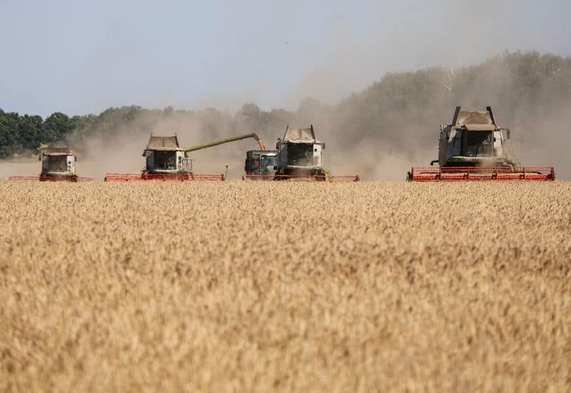 World faces fresh food price surge, FAO warns