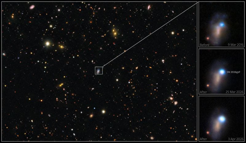 Astronomers observe the full process of a massive star's death