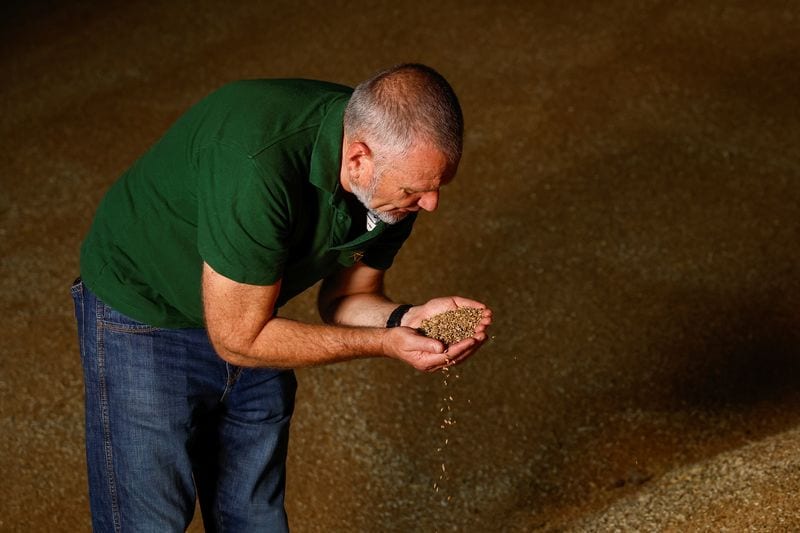 Ukraine farmers face ruin as Russian Black Sea blockade halts grain exports