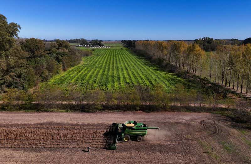 Latin America braces for potential record El Niño, impacting food exports and trade