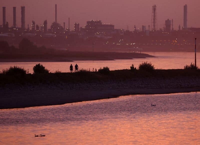 German investor morale rises more than expected in August