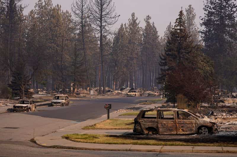 Trump administration proposes rescinding rule protecting millions of forest acres