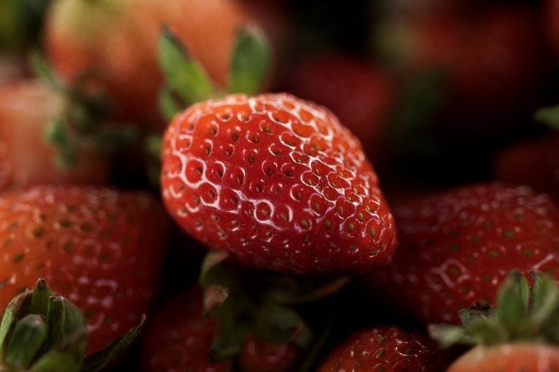 Mexico disputes US preliminary ruling on strawberry dumping