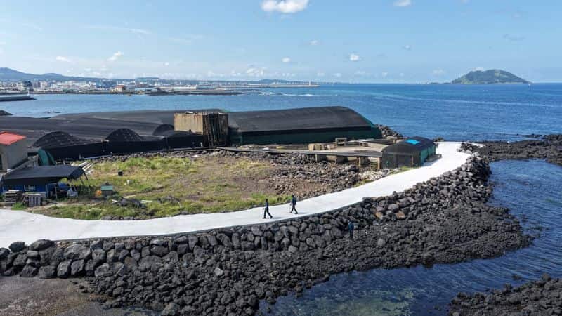 South Korean President Lee calls for police accountability after Jeju cases
