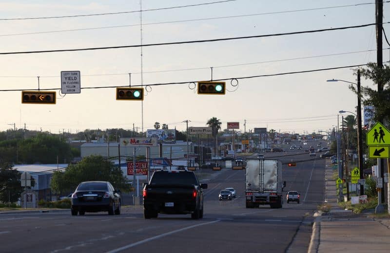 Horse smuggling highlights US defense gaps against screwworm