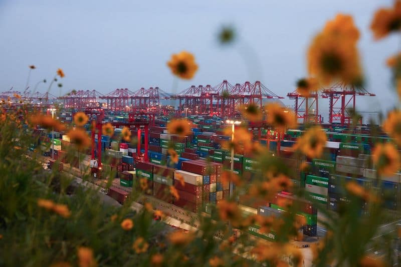 China August export growth seen accelerating to 25%