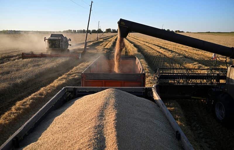 Wheat buyers face higher costs as Russia-Ukraine war disrupts Black Sea supplies