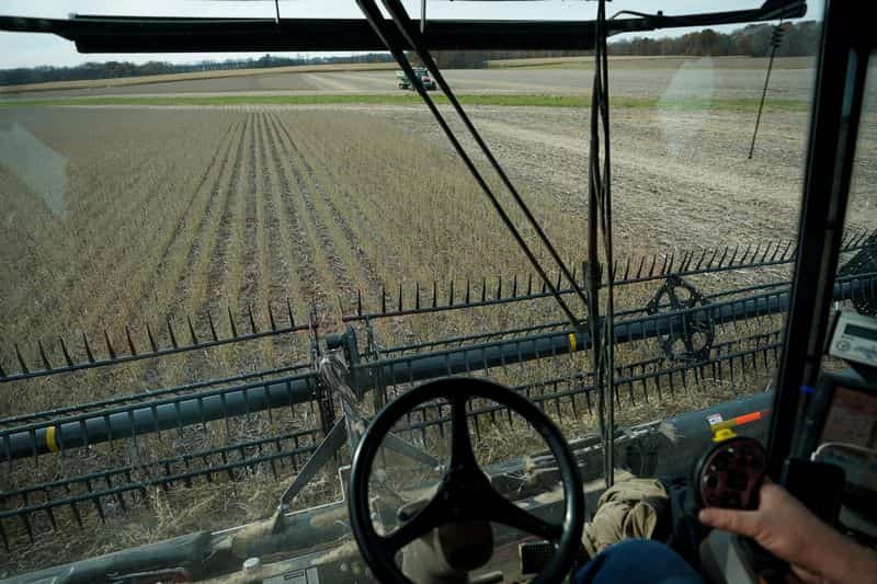US harvest delays send soy processors scrambling for supplies