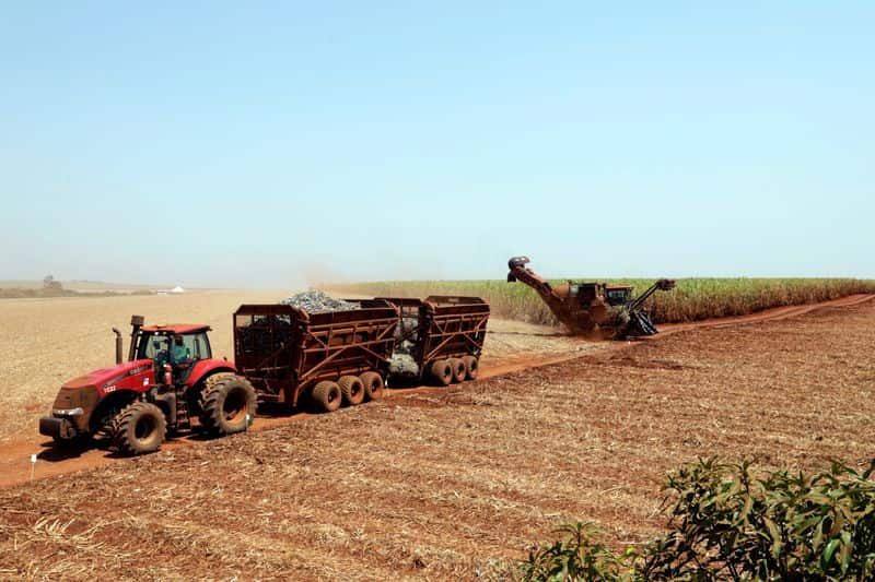 Brazil sugar mills to prioritize weather over price for production mix