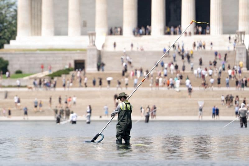 Olympian cleared of vandalism seeks probes into Trump administration's Reflecting Pool project