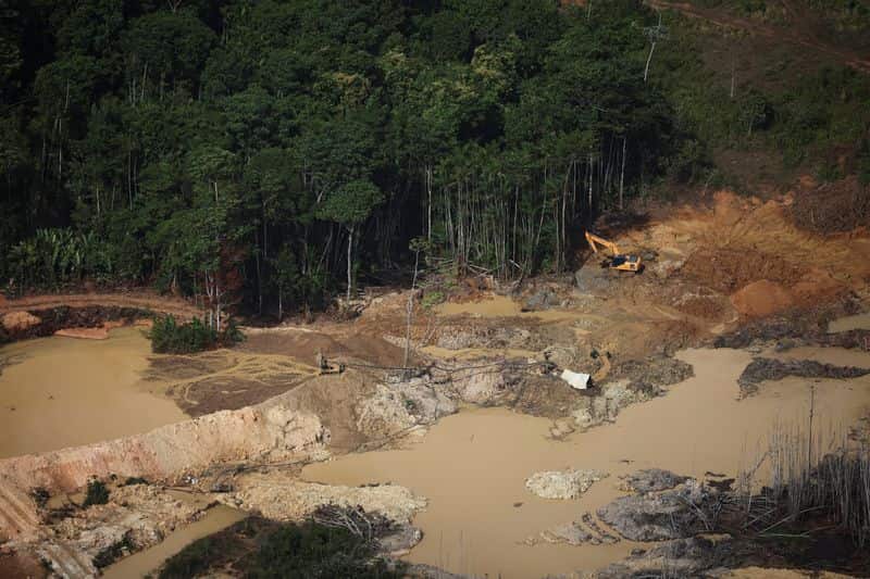 Millions of hectares of protected ecosystems threatened by mining, oil and gas concessions