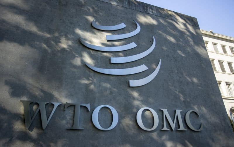 WTO upgrades global goods trade forecast on AI demand, Middle East conflict impact