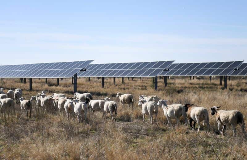 Trump administration tightens rules for rural energy project funding