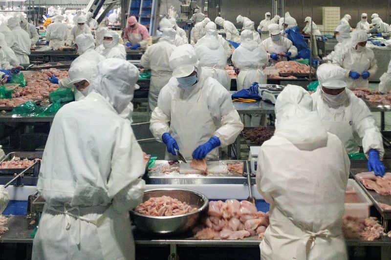 China's Export Boom in Chicken and Pork Challenges Global Rivals