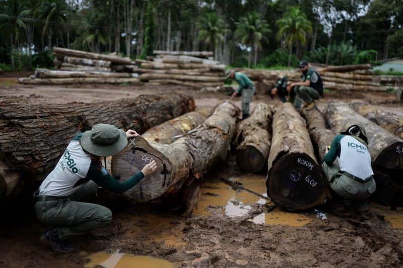 Nations gather for UN biodiversity talks amid lagging progress