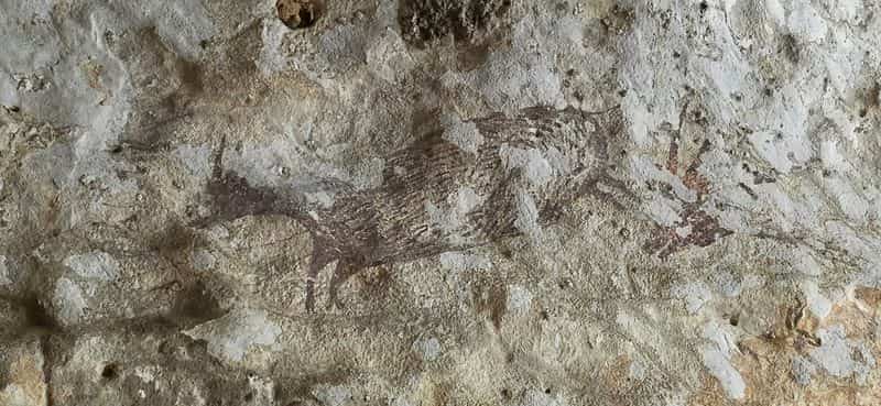 Indonesian cave paintings threatened by wildfire smoke and heat