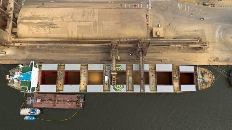 Argentina sees opportunity as EU deforestation rules threaten Brazil soymeal trade