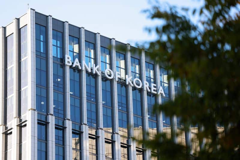 Bank of Korea board member flags won's rapid moves