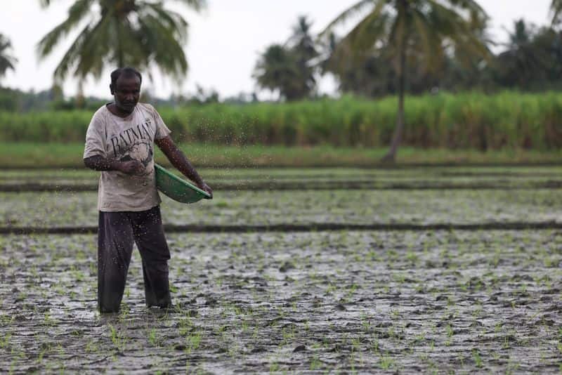 India says US trade deal won't hurt farmers
