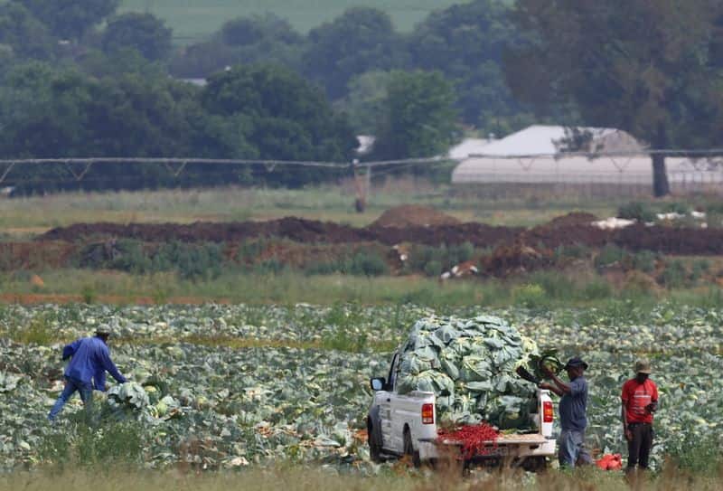 South Africa economy estimated 4.9% larger after rebasing