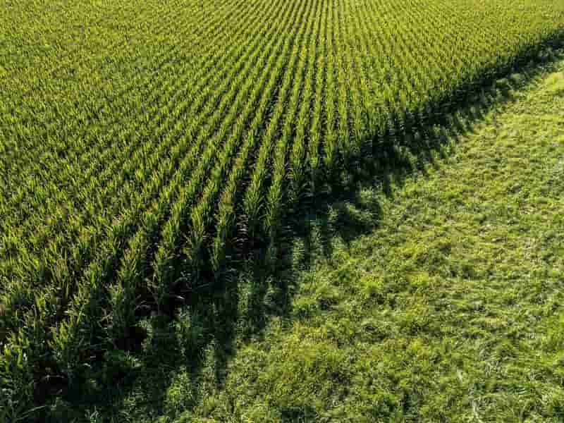 Farmer group funds $3 million in attack ads against Republicans