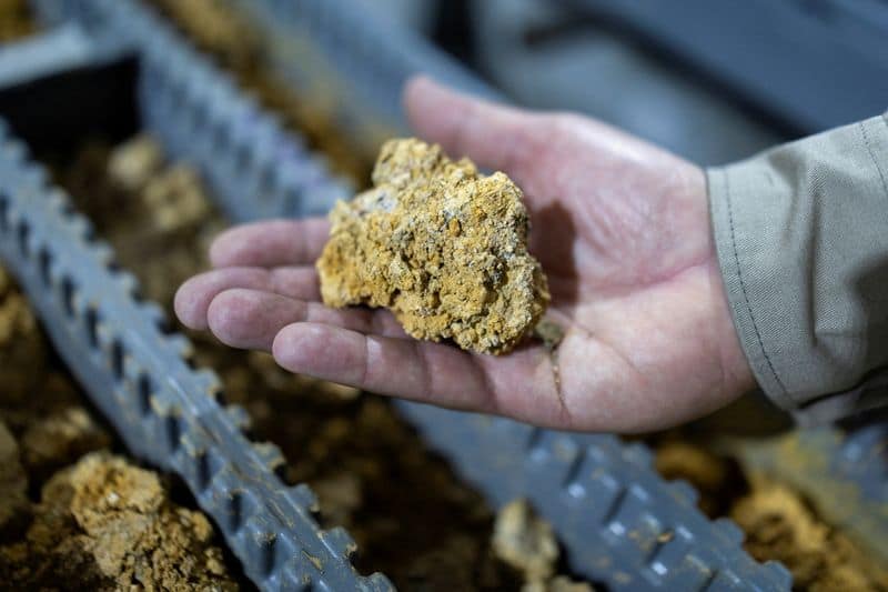 Brazil election outcome to shape global commodity flows, analysts say