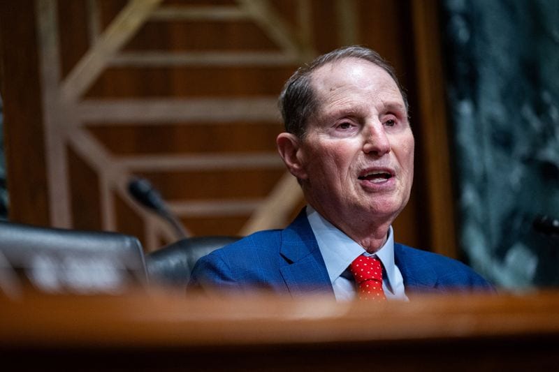 Senate Democrats eye probes into private equity, data centers if they win control